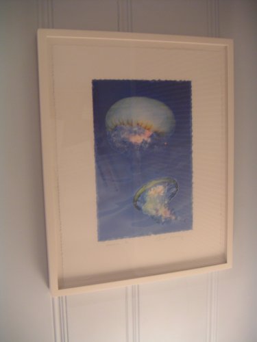 jellyfish 2