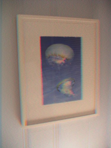 jellyfish 3