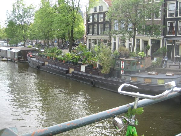 plants on a houseboat