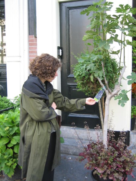 plants on a houseboat
