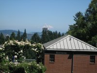 japanesegarden_MtHood