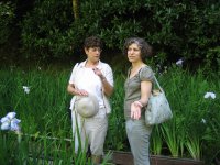 japanesegarden_Naomi_Rachel