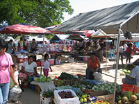 market1