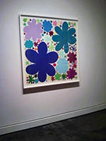 Apfelbaum big flowers