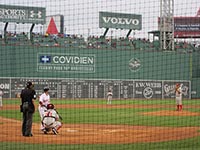 pedroia1