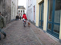 utrecht_street2