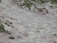 pfeiffer_beach_purple_sand.jpg