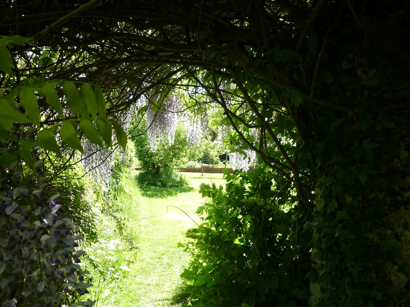 monks_house_tree_passageway.jpg