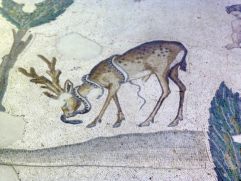mosaic_deer_snake.jpg